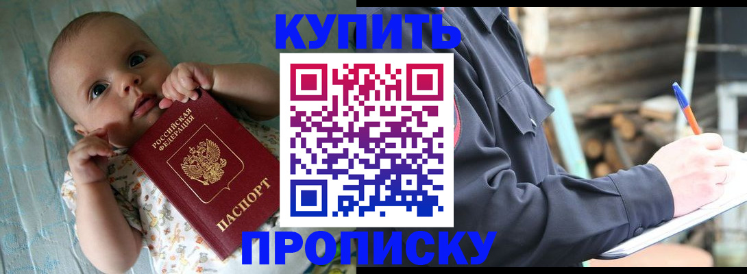 прописка поиск в Тольятти